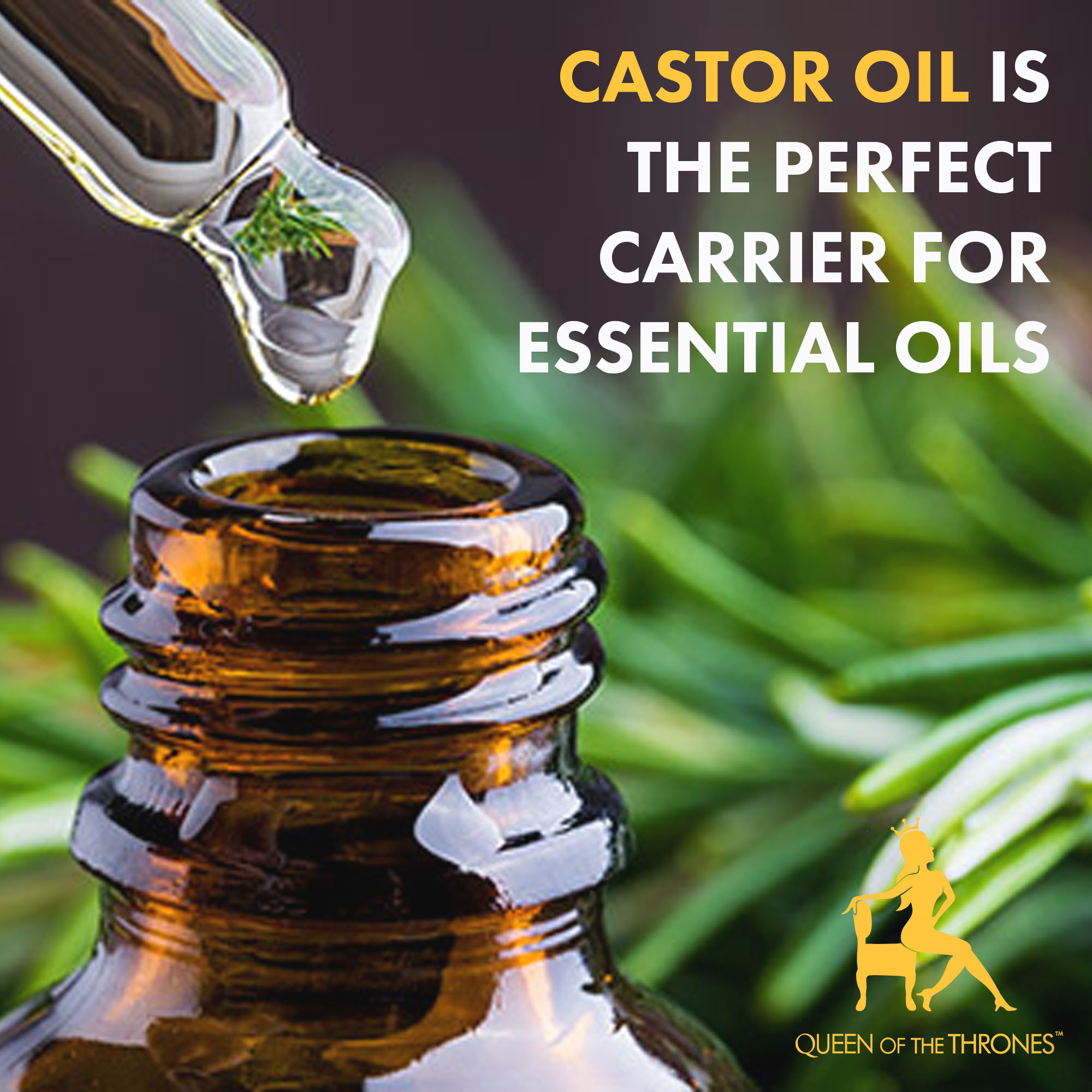 Queen of the Thrones Castor Oil is a carrier of Essential Oils