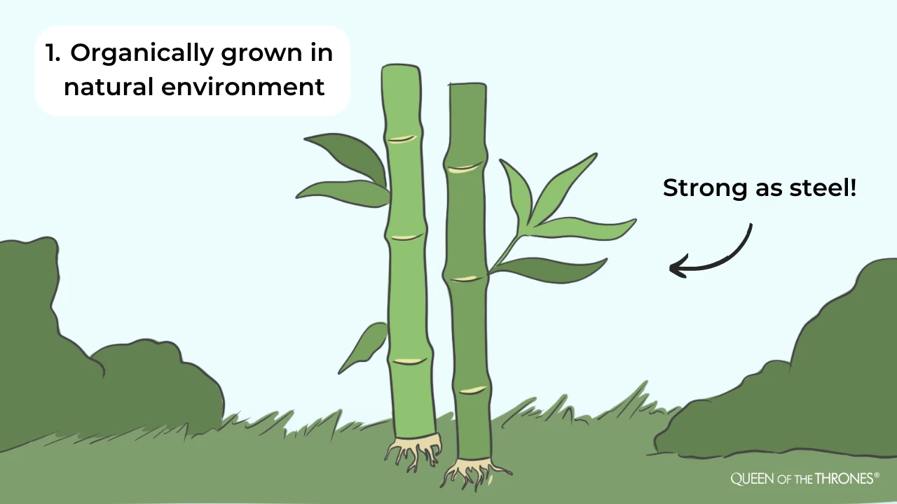 Queen of the Thrones explains how bamboo grows